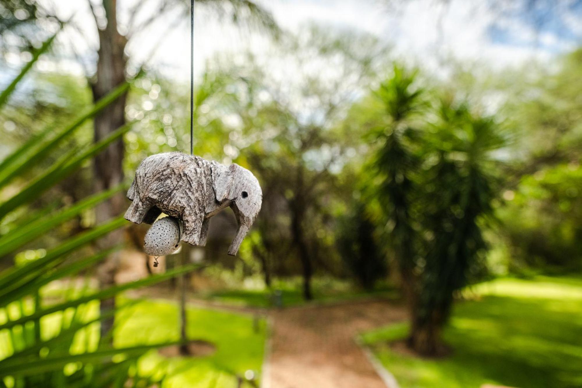 Taranga Safari Lodge Rundu Exteriör bild